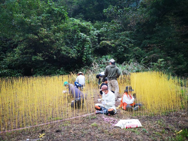 游文富による「北アルプス国際芸術祭」の出品作『心田を耕す』は、現地の人々およびボランティアらとともに創作したもので、田植えのように泥の中に一本ずつ挿していき、大町市の山間部に夏から秋の稲田と冬の雪景色の美を表現している。