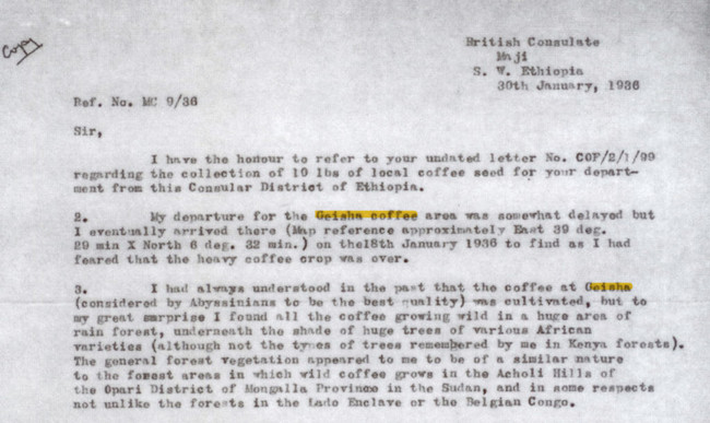 パナマゲイシャのゲイシャの味がおいしいって１９３６年にイギリス農務省宛にレポートされているが、あまり気に止められていないのは育ててみたときに量が取れないのが問題だったと思う。