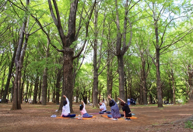 「まるで自然の一部みたい」自然と一体になってリラックスしよう！