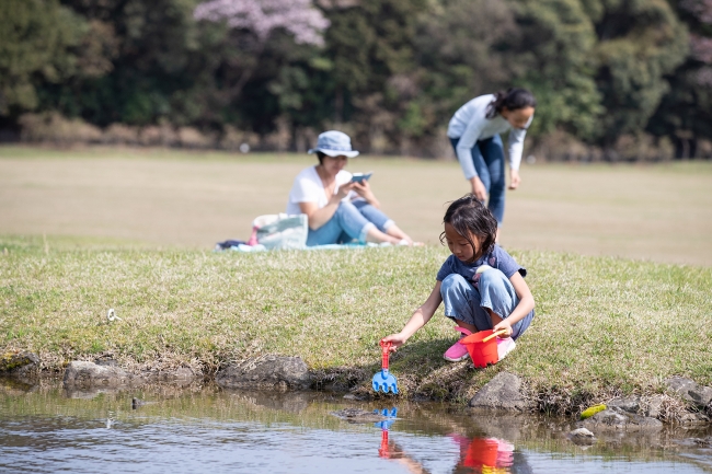 写真：日本ライフセービング協会