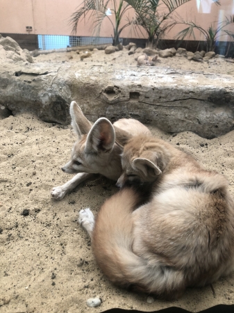 父親マルクル(手前）と母親ソフィ