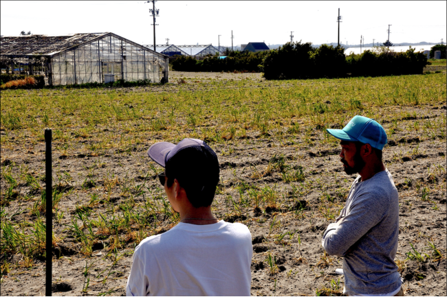 地中の炭素を栄養にする農作物を植える炭素循環農法