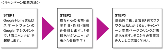 キャンペーン応募方法