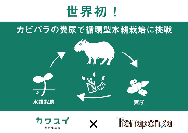 館内に設置された「循環型水耕栽培」の紹介図