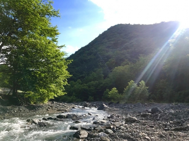 御勅使川で川遊びも楽しめます