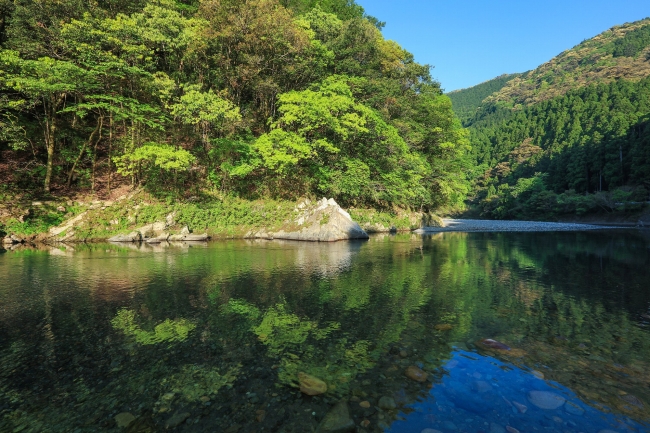 清流 野根川