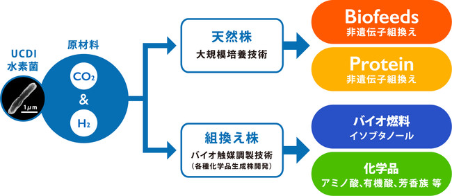 技術基盤と４つの事業分野