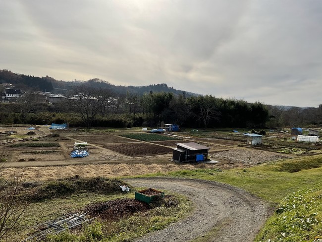 農業活動を行っている畑のある農園