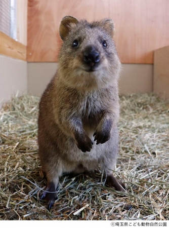 Ⓒ埼玉県こども動物自然公園