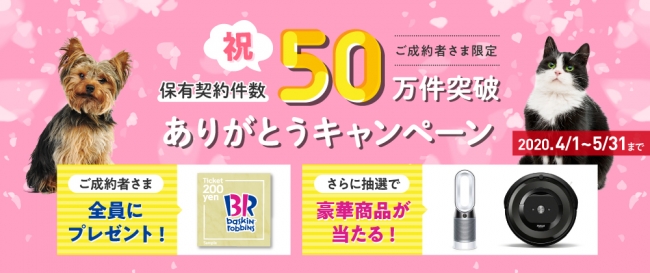 祝 保有契約件数50万件突破ありがとうキャンペーン