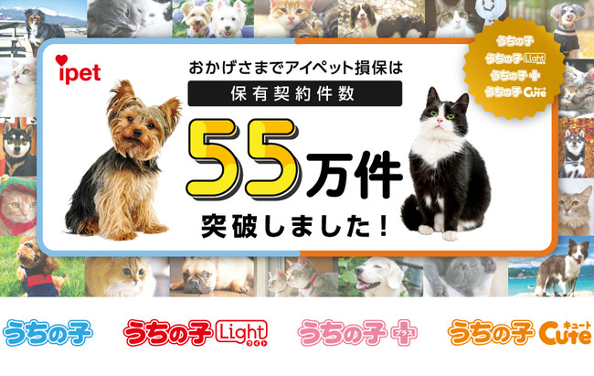 アイペット損保「保有契約件数が55万件を突破！」