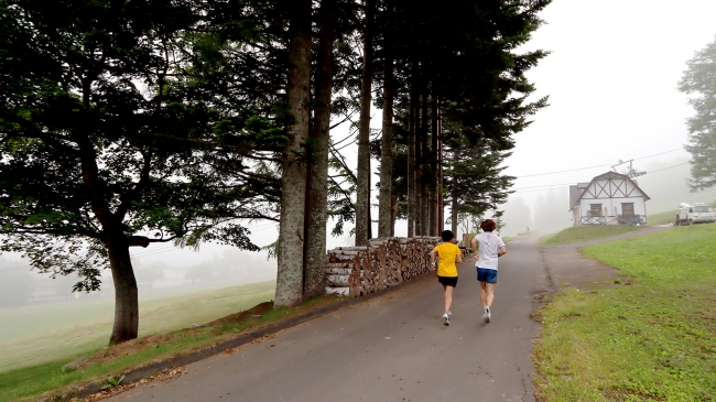 舗装された道で走りやすい「Refresh Jogging Loop」