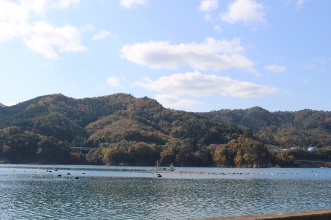 穏やかな雄勝湾の様子（写真：雄勝総合支所　地域振興課様ご提供）