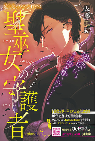 「聖巫女の守護者」　友藤結