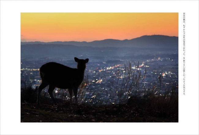 奈良・若草山