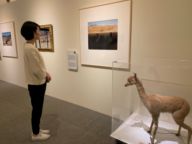 展示室の様子2