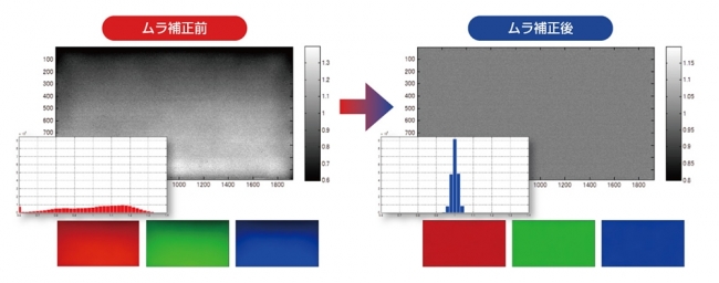 高精度のムラ補正を実現