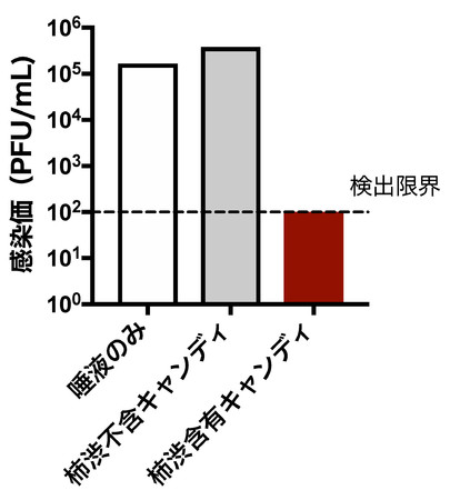 試験結果