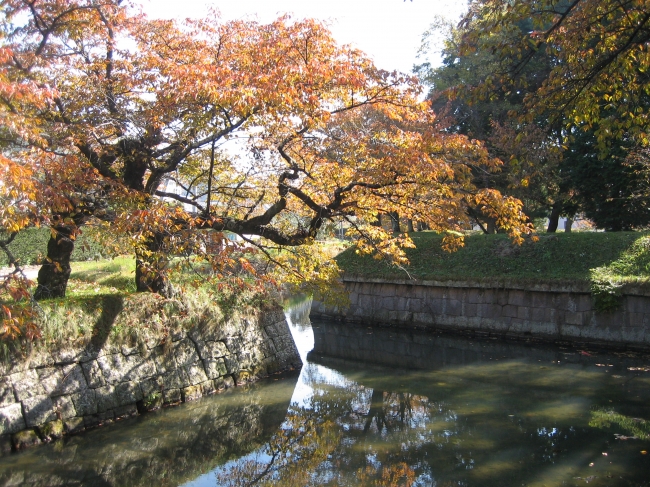 秋の龍岡五稜郭