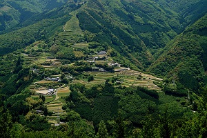 十根川集落(伝統的建造物群保存地区)