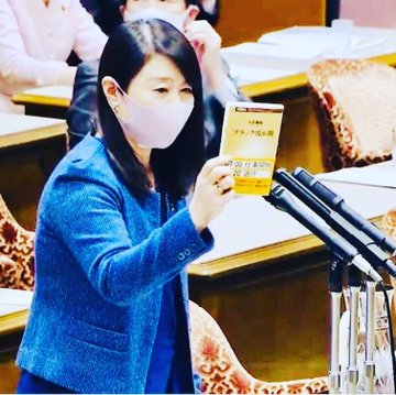 質問に立った矢田わか子議員（国民民主党）