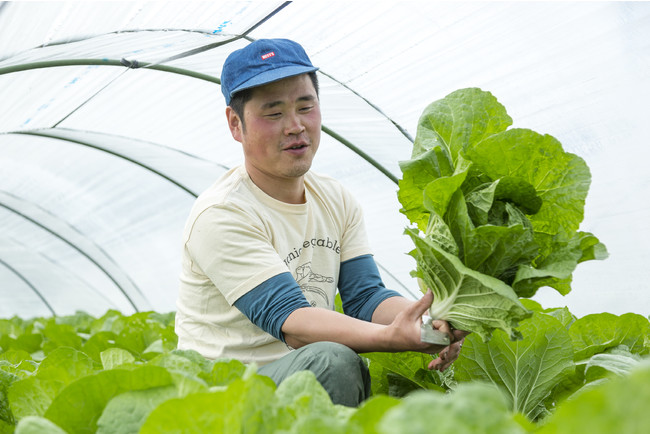 サイキの無農薬野菜