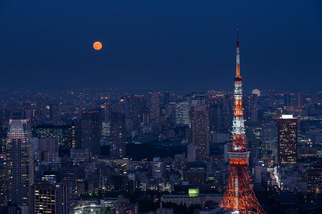 スカイデッキから見える月と東京タワー　※イメージ