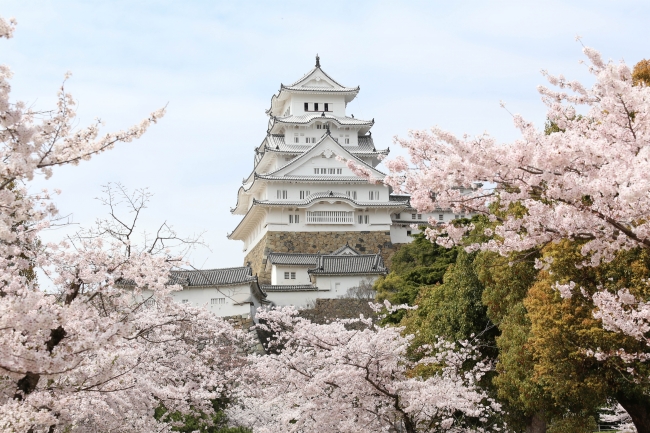 【姫路城】世界遺産になった日本建築の最高峰※写真提供：姫路市