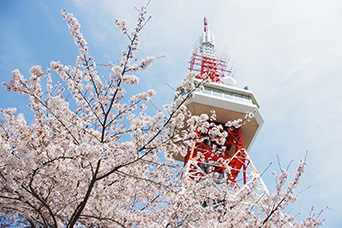 ＜八幡山公園（イメージ）＞