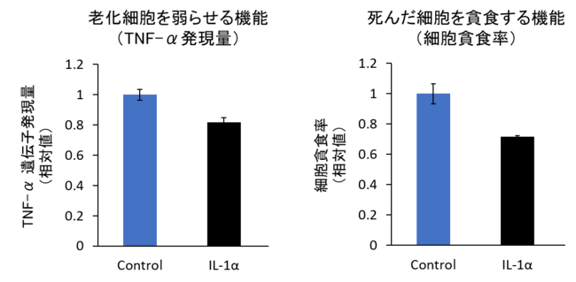 図５　悪性因子（IL1-α）によりマクロファージの機能が低下する