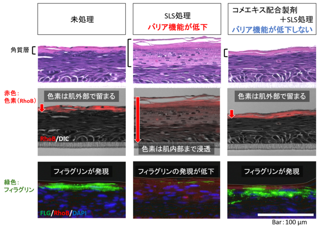 図３．人工皮膚のバリア機能低下に対するコメエキスNU の予防効果