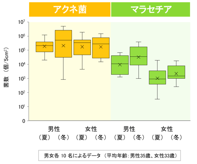 図1　アクネ菌とマラセチアの菌数