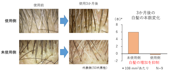 図５　トリュフエキスと超熟紅参エキスによる白髪の予防効果