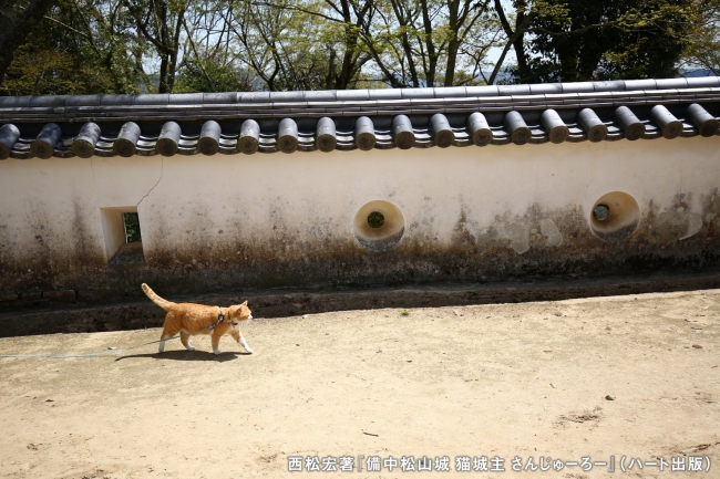 お城の見回り