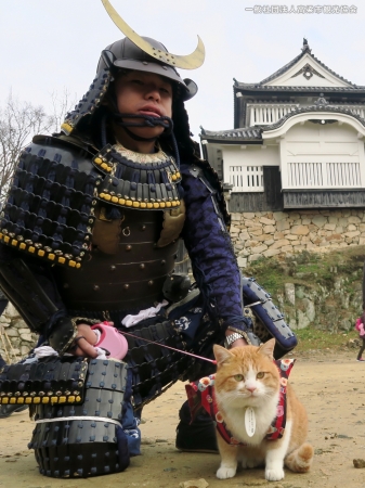 猫城主として正式デビューしたさんじゅーろー