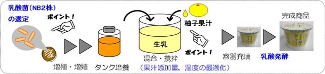 製造工程