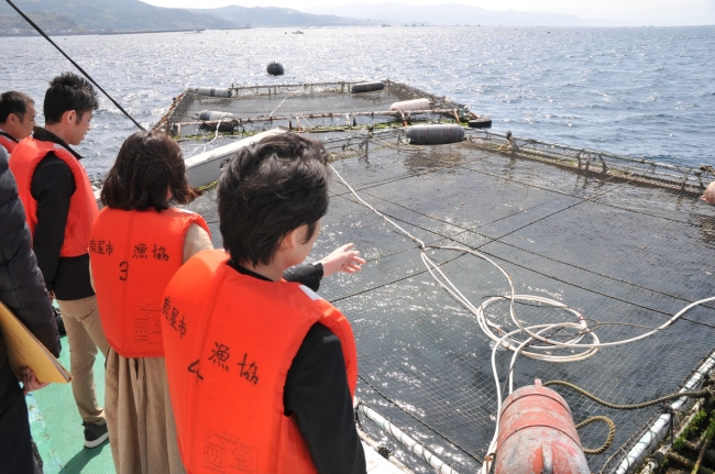 鹿児島湾は潮流が早く魚の身が引き締まる絶好の環境