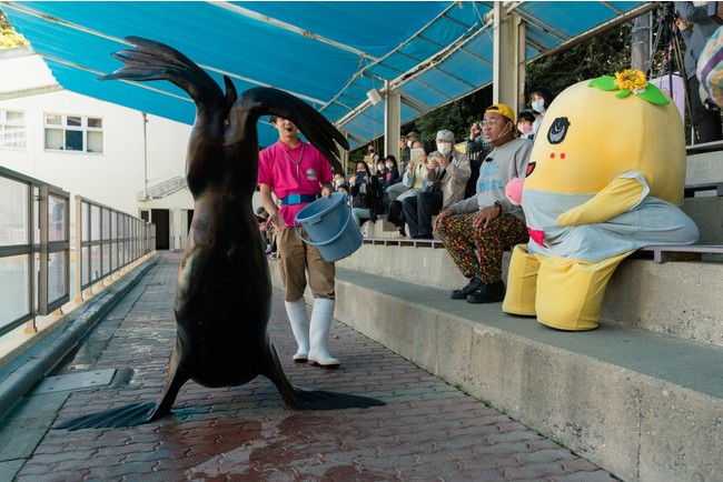 桂浜水族館