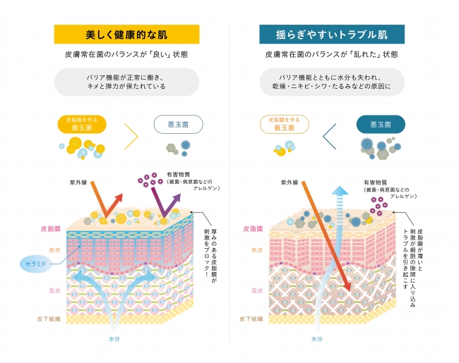 （図1）