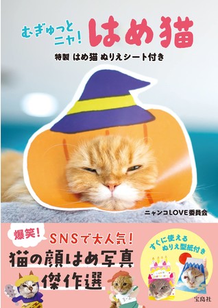 『むぎゅっとニャ！　はめ猫　　特製はめ猫ぬりえシート付き』（宝島社）