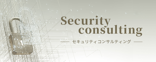 株式会社カイラステクノロジーが新規事業「セキュリティ コンサルティング」を開始