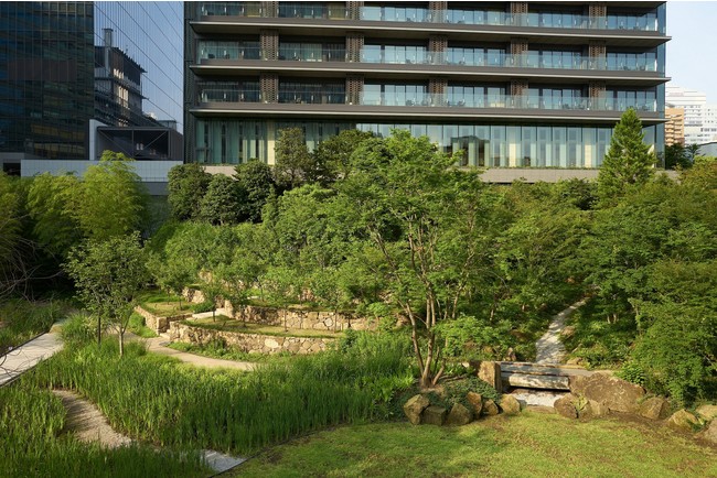 オークラ庭園　もみじ谷・芝生広場＝芝生を池の水面に見立て周辺は石組みによって水際の表情を加えている。