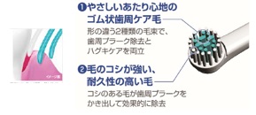 図3 2つの特徴の毛を組み合わせた毛先