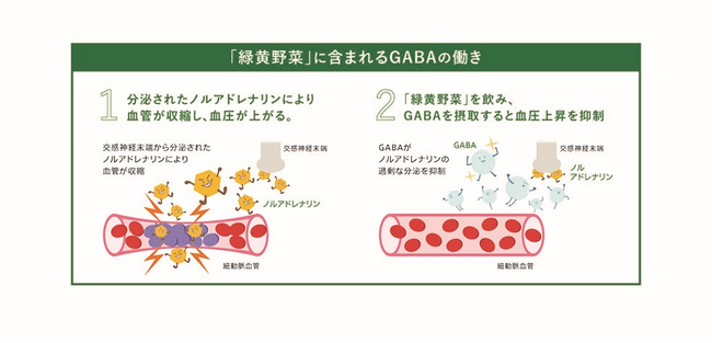 ※図は非臨床試験の結果から推定したメカニズムです。