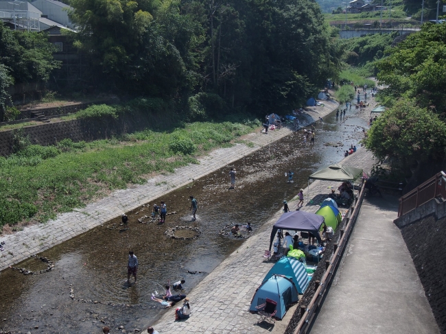 小魚も生息している石川