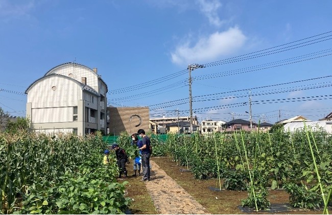 現地農園の様子