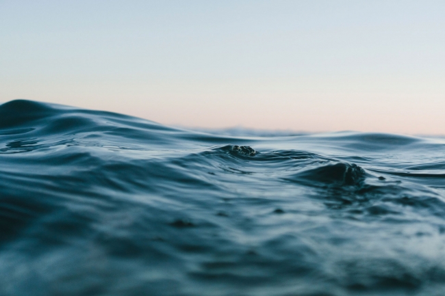 世界の海から集めた 希少な天然海老