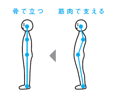 本当の「よい姿勢」は、力を抜いて骨で立つ