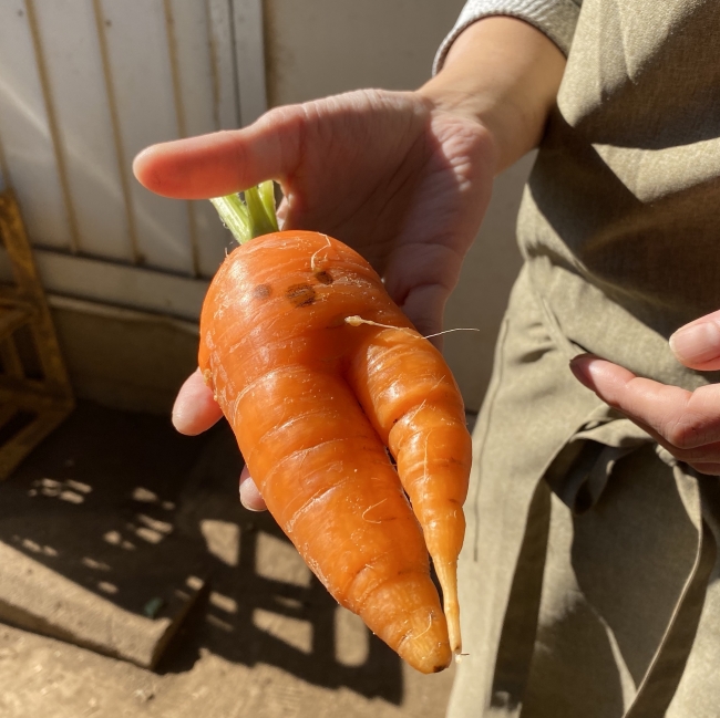 足の割れてしまった人参に顔を描くと子ども達の反応が良い