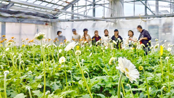 3月上旬、お世話になっている花農家さんに現状ヒアリング